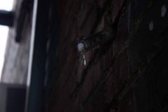 ​​03. Waiting. These are photos I took around Chapel Hill for the Visions Assignment